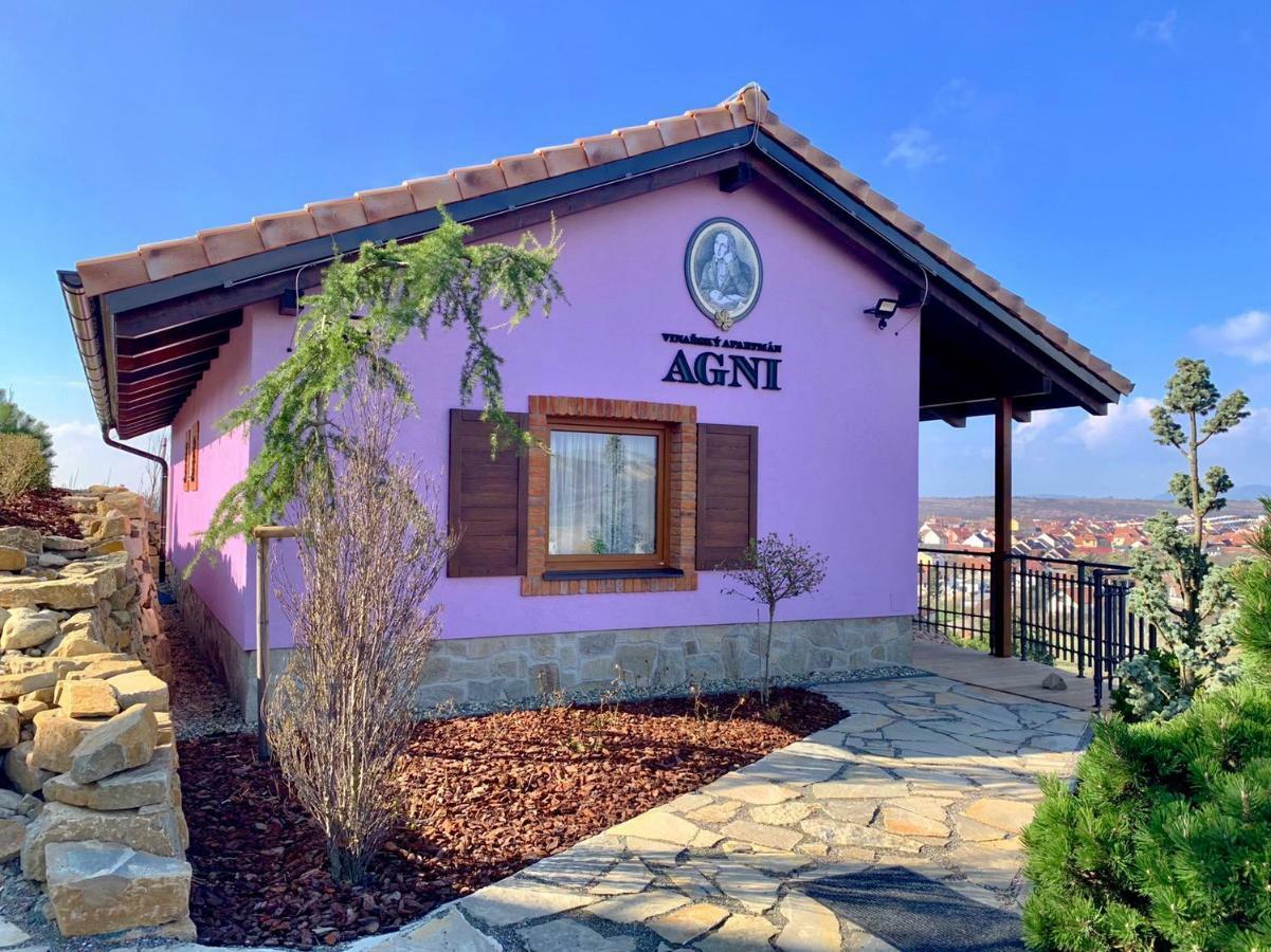 Vinařský pension André Velké Pavlovice Exterior foto